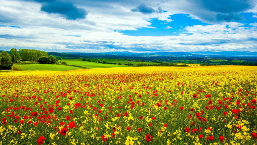 1457454 (a): :2560x1440